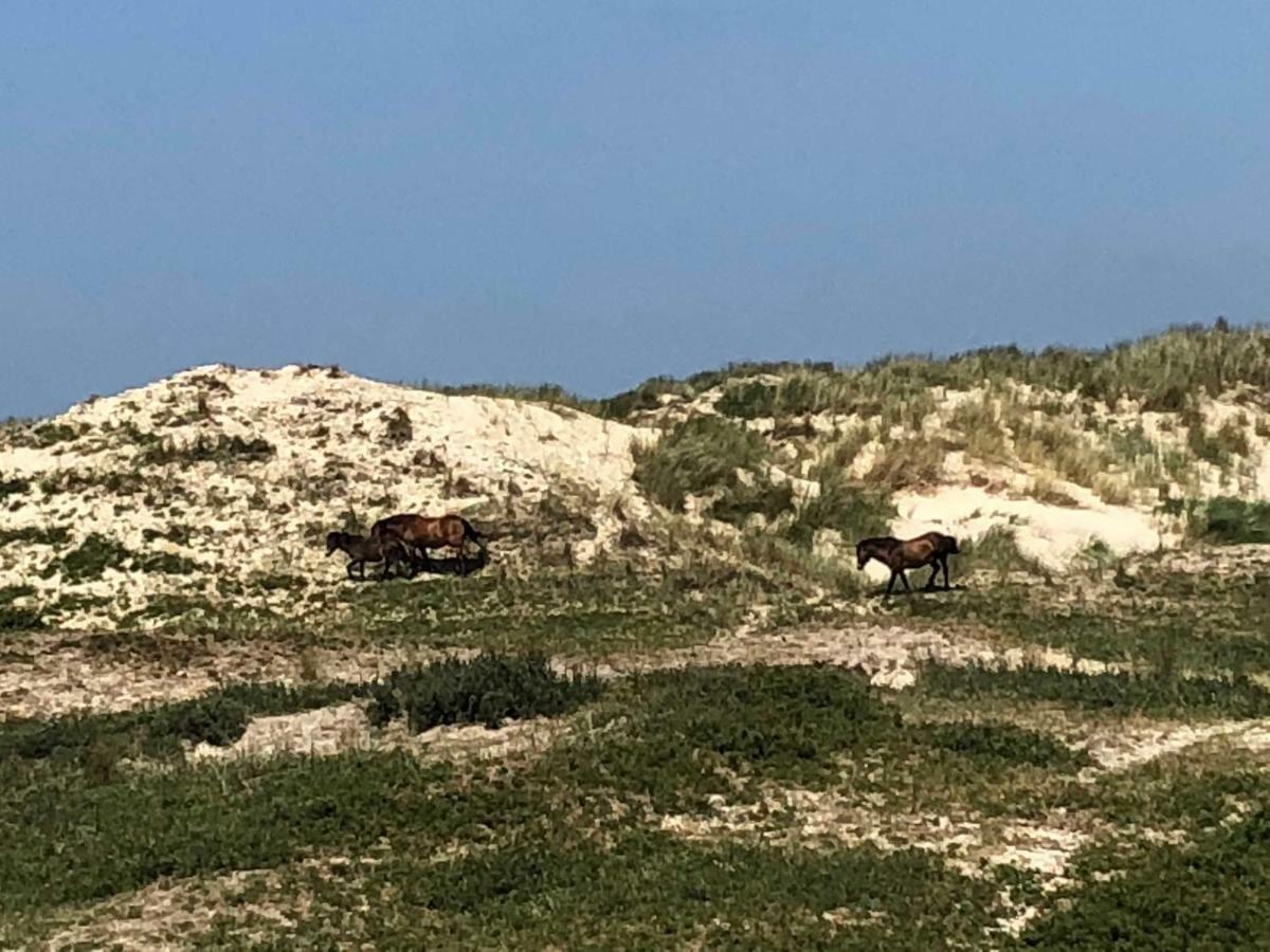 Ferienhaus Gluecklich Am Meer 3 Mit Wellnesszugang 에크몬드안지 외부 사진